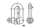 General Lifting Straight Shackle