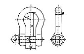 General Lifting Bow Shackle