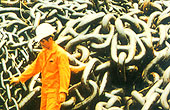 Anchor Chain